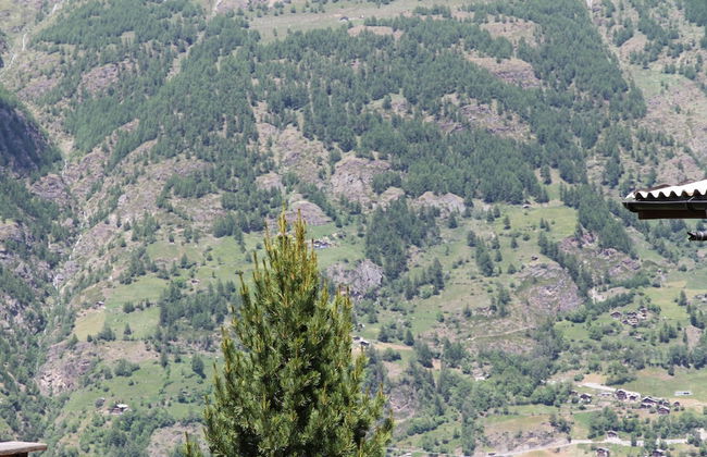 Spacious Apartment in Saint Niklaus near Mattertal Ski Area - Foto 15