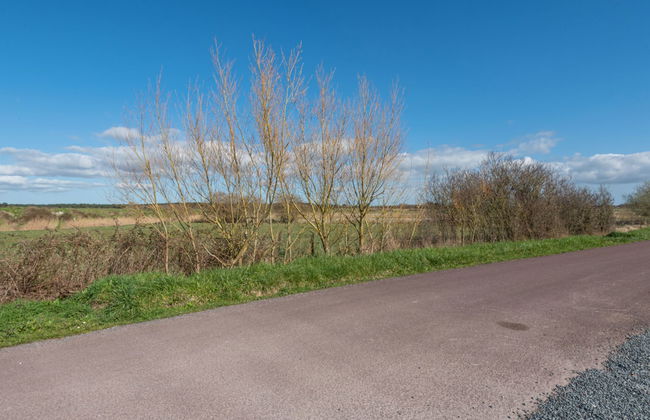 La Salicorne - Foto 18