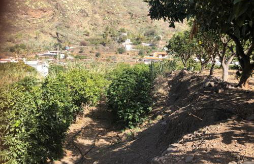 Casa Camino Tamadaba II (bottom home) - Foto 55