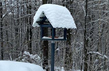 Siedlisko Wyżne - Foto 29