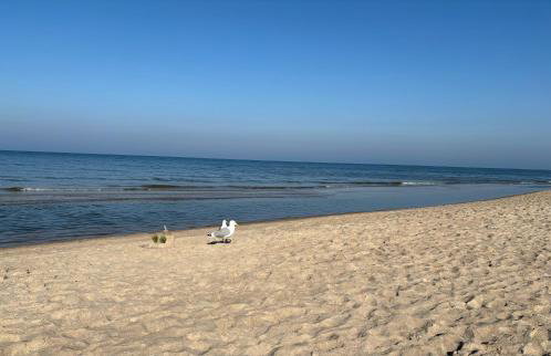 Głębia Bałtyku - Foto 18