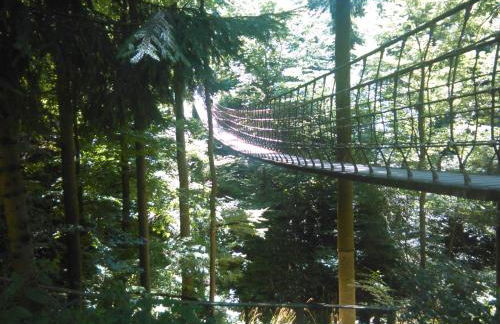 Mia und Michel im Sauerland - Foto 23