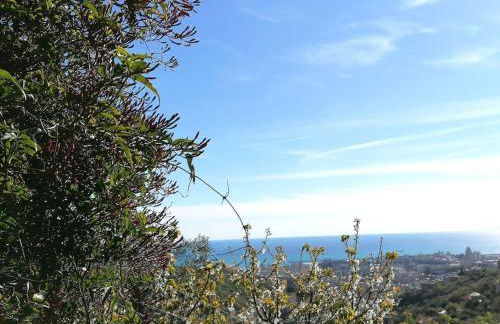 Overlooking Genoa - Foto 19