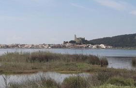 43-2 LES MAISONS DU RIVAGE BLEU - Foto 20