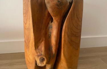 CAL DOMENEC PLATJA Luxury apartment on Torredembarra beach - PETFRIENDLY - Se admiten mascotas - Foto 51