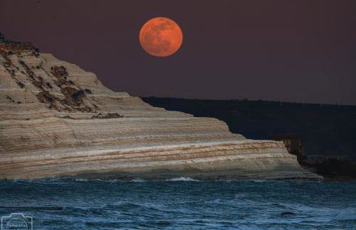 Villa Andromeda apartments - Foto 34