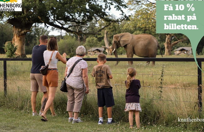 4 Person Holiday Home on a Holiday Park in Borre - Foto 8