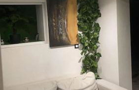 Appartement Lyon dans maison calme - Foto 16