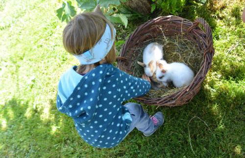 Veiter-Hof - Foto 26