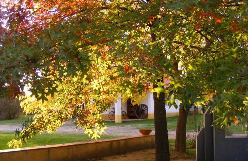 Quinta dos Trevos - Artes e Ofícios - Foto 23