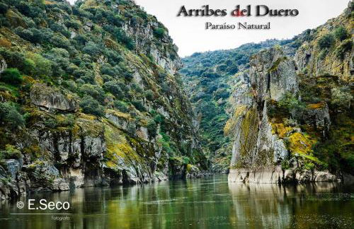 Antiguo Casino de los Arribes - Photo 77