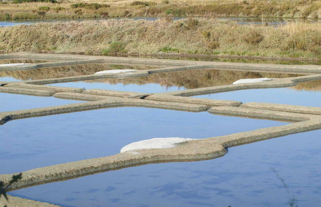 Lovely Apartment in a Prime Location With Direct Access to the Beach, Mesquer - Photo 24