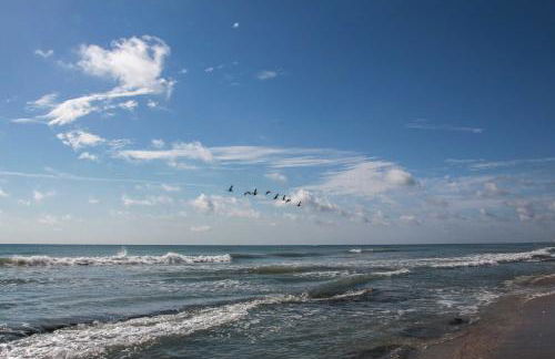 Direct Beach Access and View Satellite Beach Condo! - Foto 29