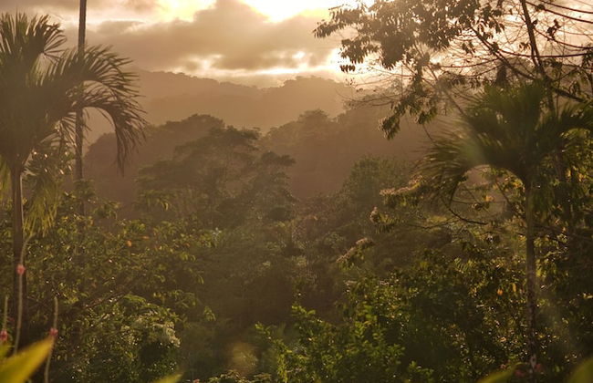 Corcovado Private Villas - Foto 78