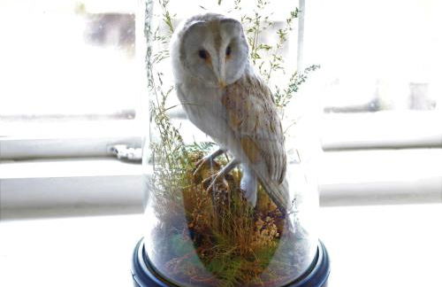 Carpenters Rest, Wighton Near Wells Next The Sea - Foto 23