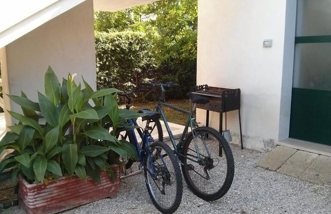 Dimora Liccisa Attic in Torre Lapillo-porto Cesareo-punta Prosciutto - Photo 12