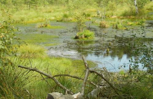 detached holiday home Kasch - Foto 22