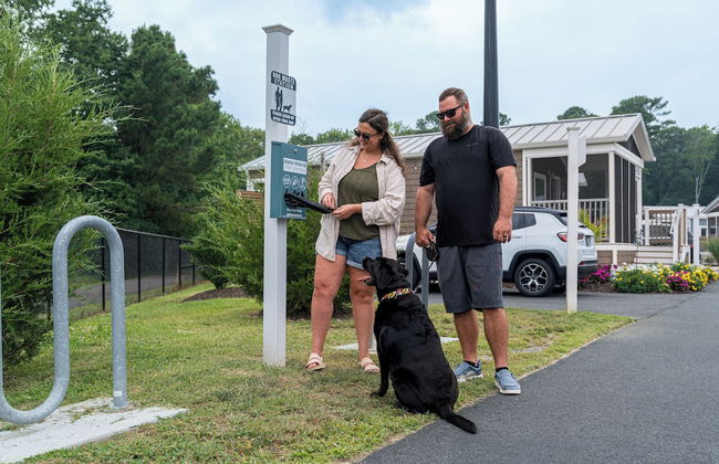 Shore Point Cottages - Foto 25