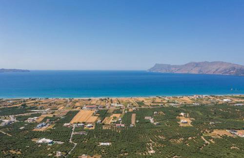 OLIVE BREEZE - Photo 36