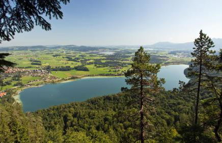 Ferienwohnung Brenner - Photo 16