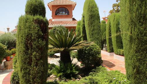 El jardín de la abuela - Foto 5, Garden