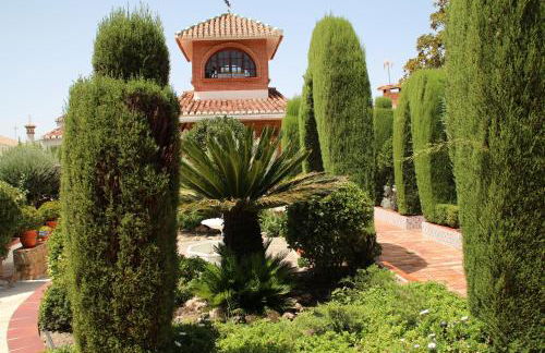 El jardín de la abuela - Foto 5