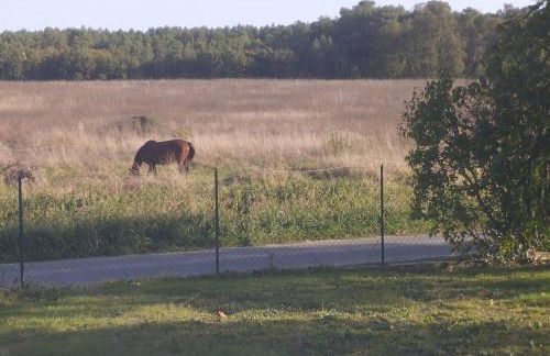 La fermette de Chandigon - Foto 6