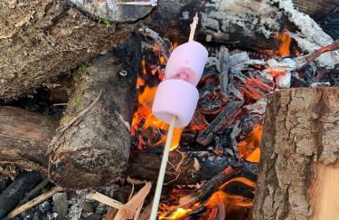 Dartmoor Eco-Pod - Oak Tree Lane - Foto 45