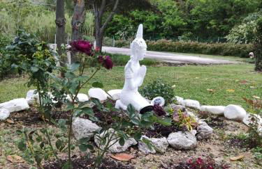 Cara Pace in collina per gruppi - Foto 13