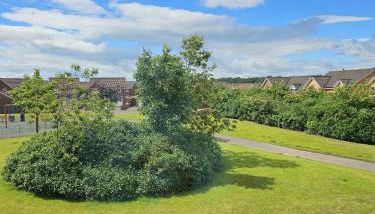 Hollybrae house Sleeps up to 6 - Foto 3