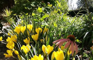 Belle demeure au coeur des Ménafauries - Photo 25