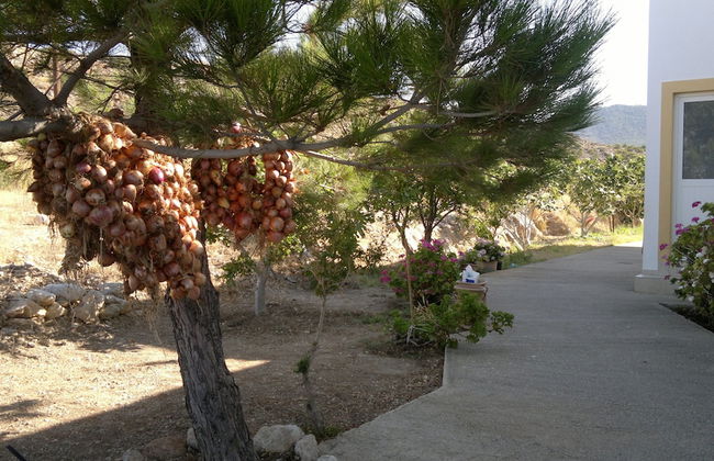 Dream Villas - Foto 18