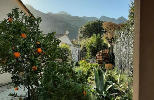 mini villa Marcel classée 3 étoiles - Foto 11