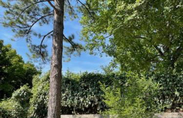 Piè del Colle Country - Foto 20