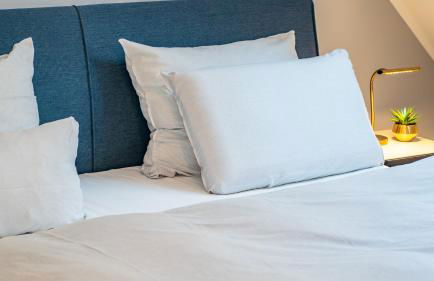 Erasmus 1901 Apartments - Foto 19