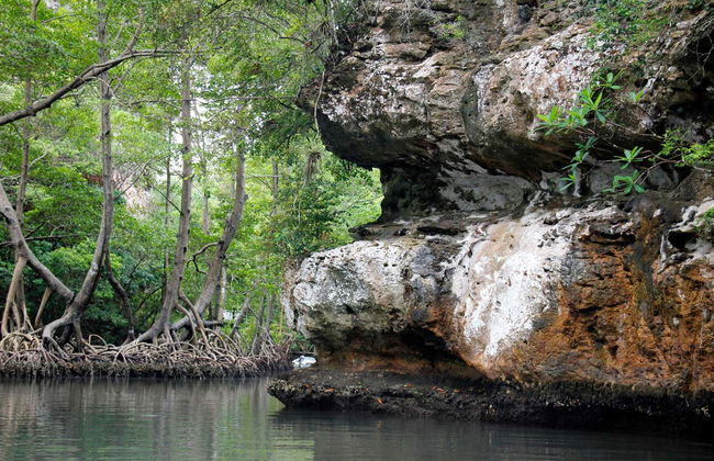 Senderismo y paseo en barco por el Parque Nacional Los Haitises - Foto 2