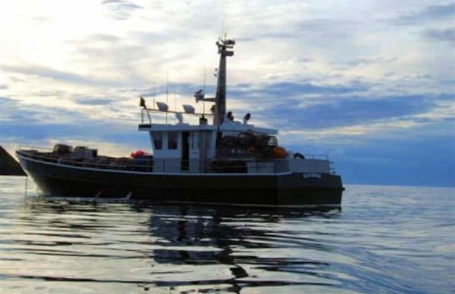 Glenaire Apartments on Frazer St - Foto 21