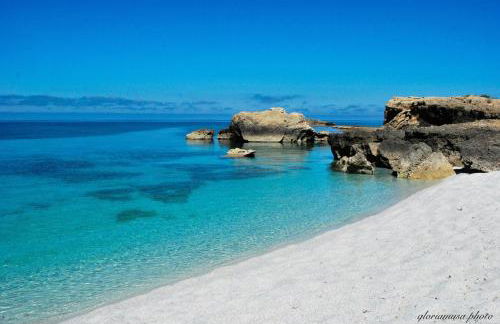 Il riposo dei Giganti - Photo 11