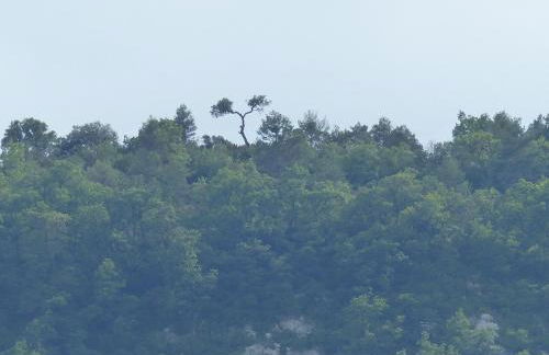 Casa Altemir - Photo 29