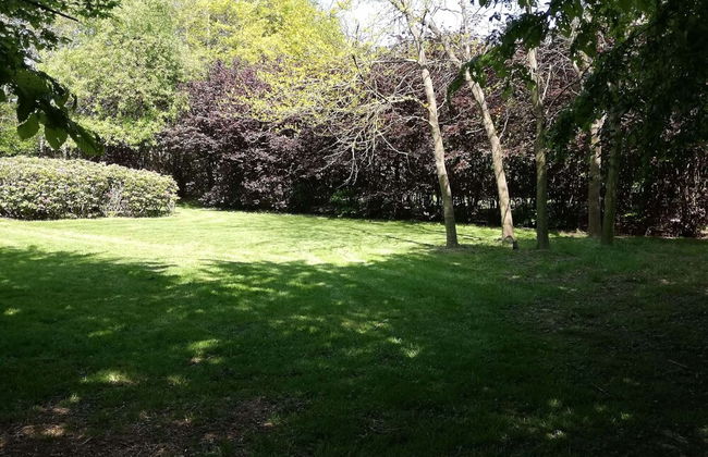 Beautiful Villa for Groups With Swimming Pool, Sauna and Wifi - Foto 35