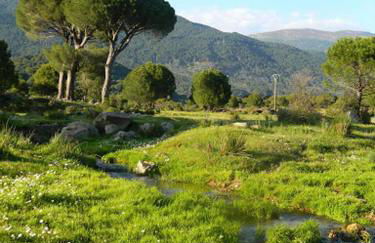 La Encina del Abuelo - Foto 27