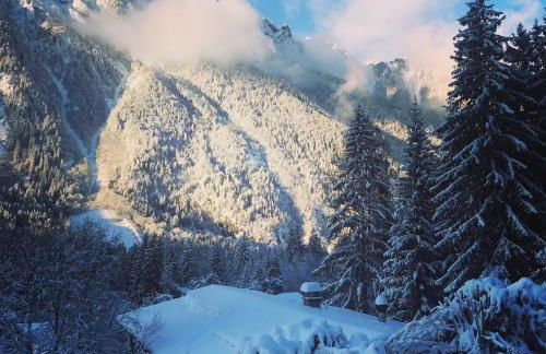 Appartement cosy au pied du MtBlanc - Photo 29