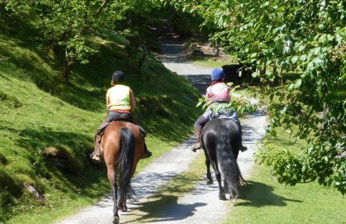 Dolmurgoch Snowdonia Cottage - Foto 16
