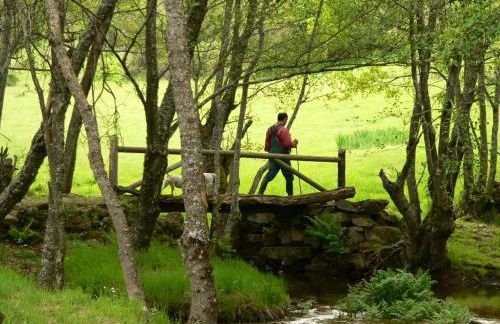 El Taller De La Seda - Foto 32