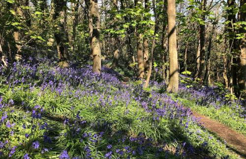 Sea Cliff View Designer Home - Photo 30