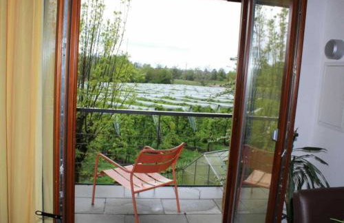 Lake Constance Garden Comfortable holiday residence - Photo 4