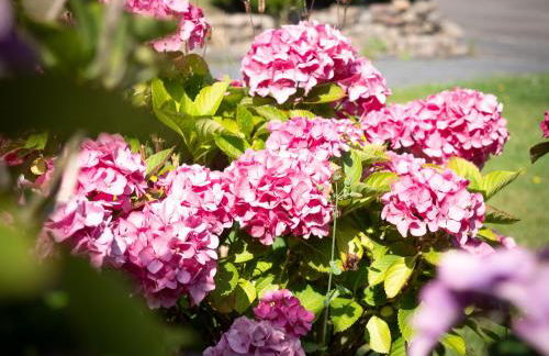 Haus Waterblick - Foto 17