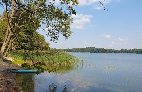 Bujanie w sitowiu - Foto 7