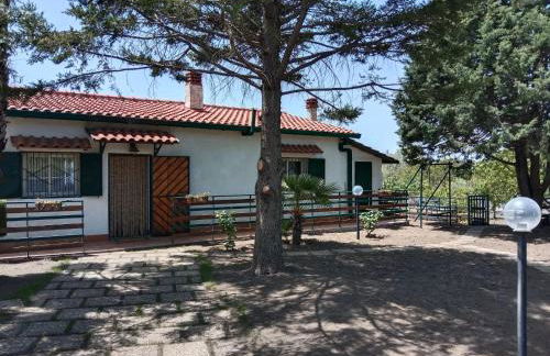 Risveglio sull'Etna - Foto 12