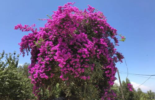 Casas Bemposta - Foto 59